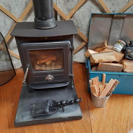 Ceridwen Glamping, Double Decker Bus And Yurts Hotel Llandysul Eksteriør billede