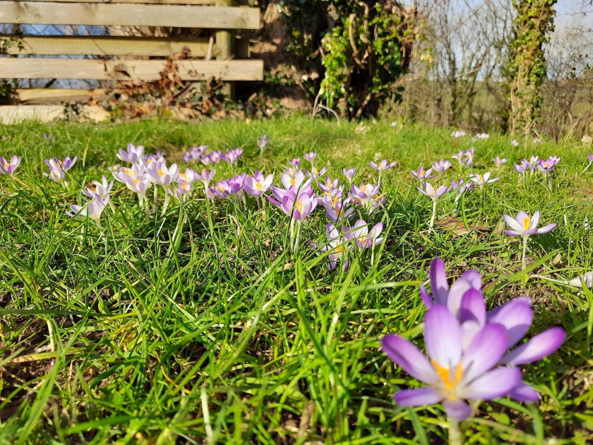 Ceridwen Glamping, Double Decker Bus And Yurts Hotel Llandysul Eksteriør billede