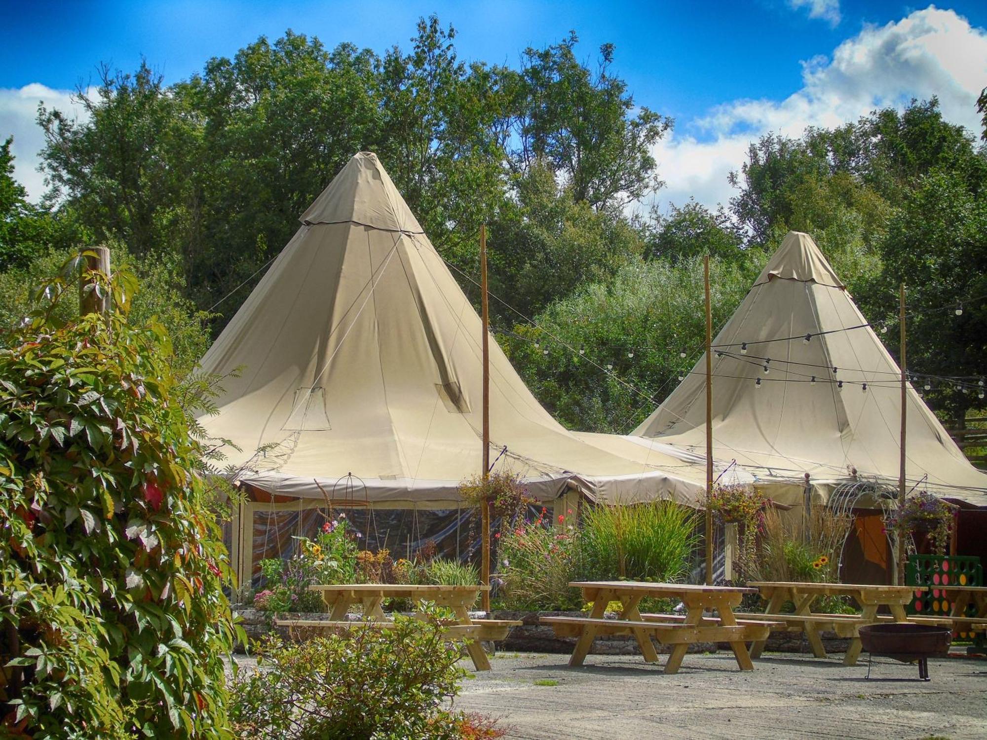 Ceridwen Glamping, Double Decker Bus And Yurts Hotel Llandysul Eksteriør billede