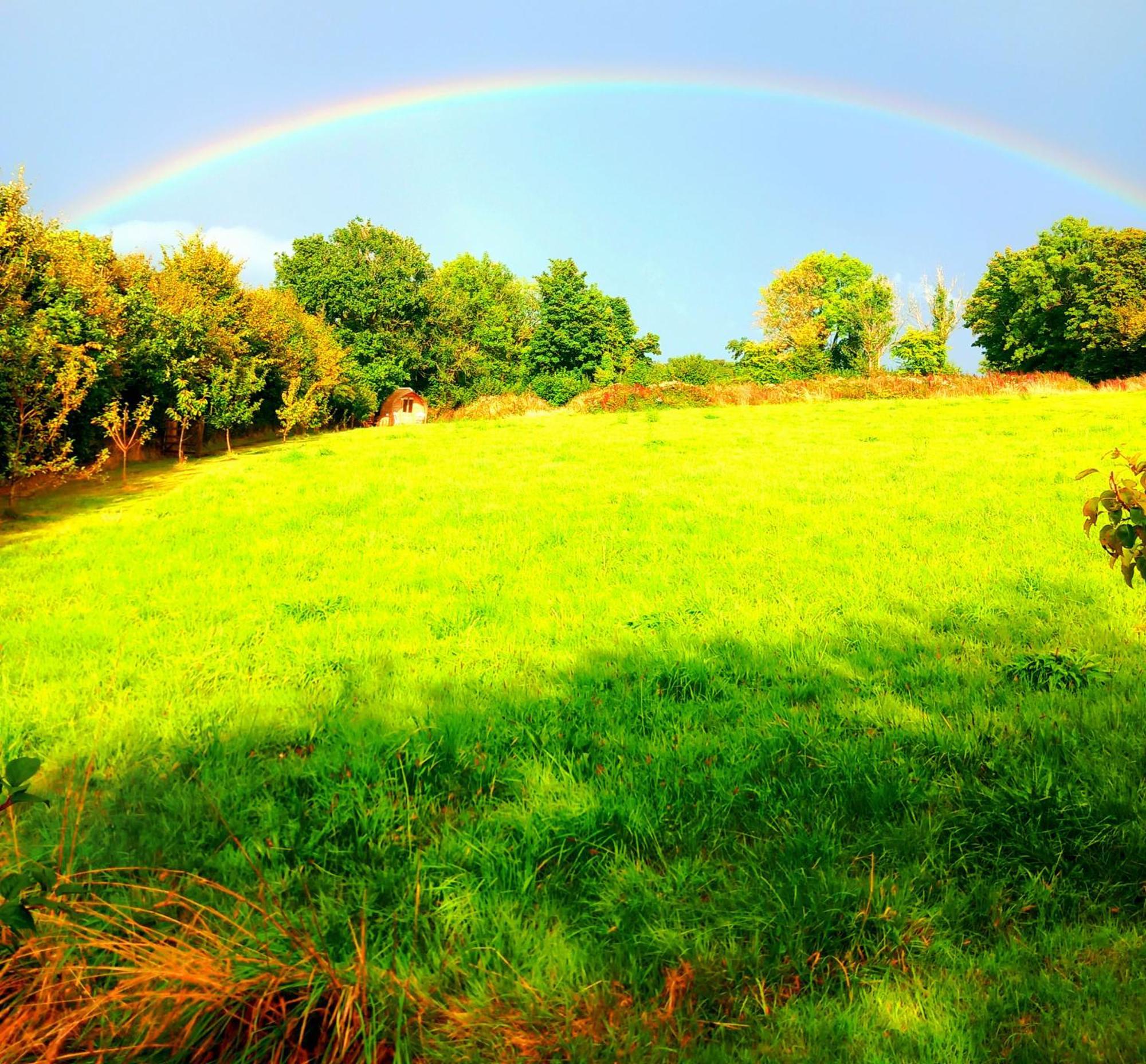 Ceridwen Glamping, Double Decker Bus And Yurts Hotel Llandysul Eksteriør billede